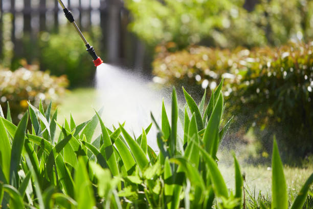 24/7 Emergency Fumigation Services experts in Roseburg, OR